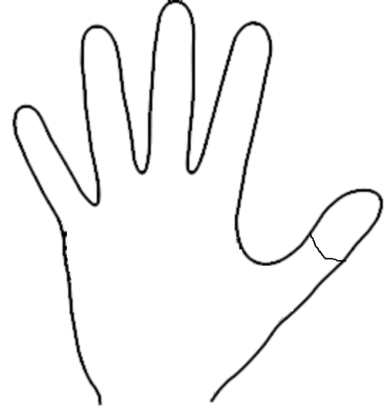 Upper phalange of thumb